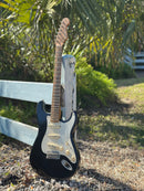 Danocaster Double Cut