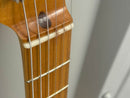 Nacho Banos Blackguard Tele (used)