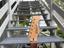 Echopark Echocaster