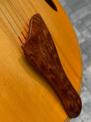 Otto D'Ambrosia built Eastman El Rey