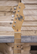 Mario Martin Nocaster T