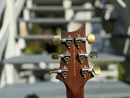 PRS McCarty 594 Semi-Hollow LTD Brazilian Rosewood Neck 10-Top