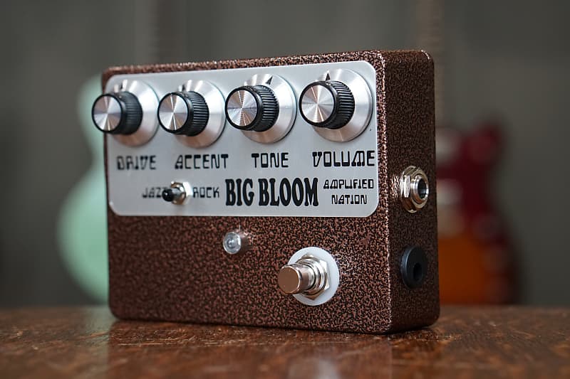 Amplified Nation Big Bloom Overdrive Hammered Copper